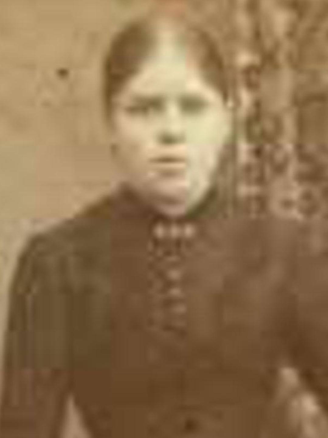 Lois Smith (1833 - 1916) Profile